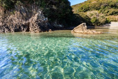 南張海浜公園の写真「河川の透明度が高すぎる」