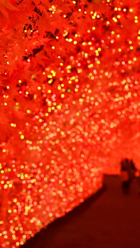 なばなの里の写真「光のトンネル〜真っ赤な紅葉〜」
