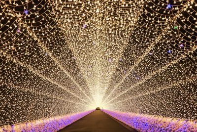 なばなの里の写真「光のトンネル（人なし）」