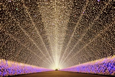なばなの里の写真「光のトンネル（ローアングル）」