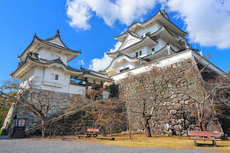 伊賀上野城の写真「秋の伊賀上野城」