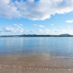 砂浜から眺める海