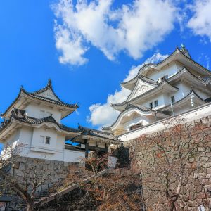 伊賀上野城の写真「秋空の伊賀上野城」