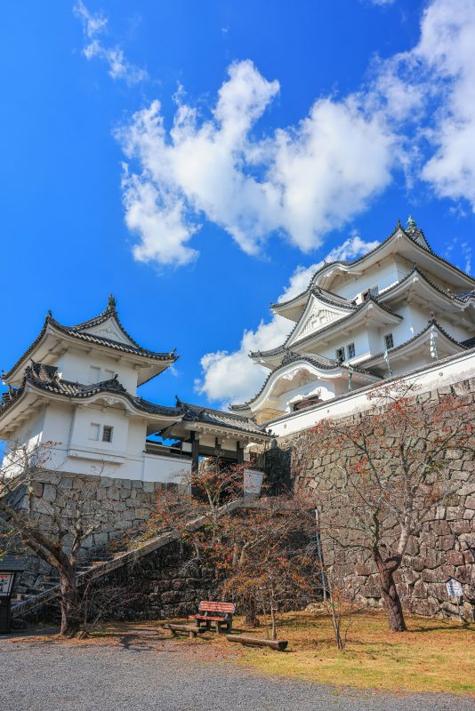 伊賀上野城の写真「秋空の伊賀上野城」