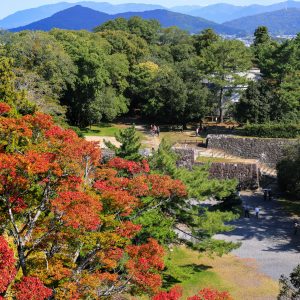 伊賀上野城の写真「上野公園の紅葉」