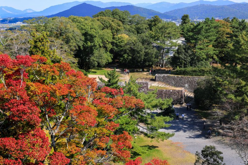 伊賀上野城の写真「上野公園の紅葉」
