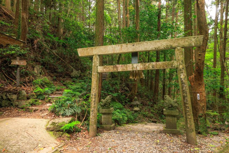 天の岩戸（恵利原の水穴）の写真「天の岩戸の近くにある鳥居と風穴へ続く遊歩道」