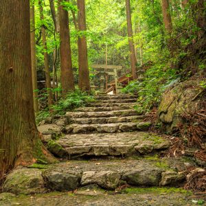 天の岩戸へと続く石畳