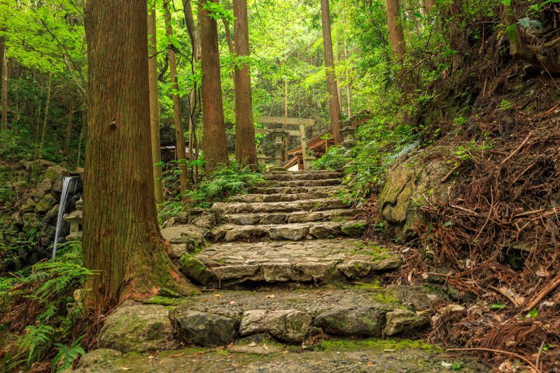 天の岩戸（恵利原の水穴）の写真「天の岩戸へと続く石畳」