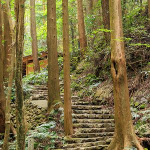 まるで熊野古道みたいな天の岩戸へ続く階段