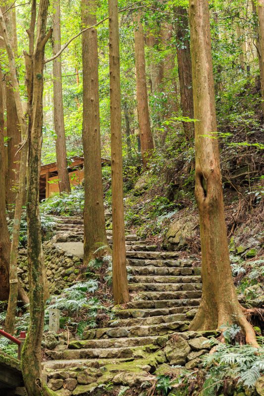 天の岩戸（恵利原の水穴）の写真「まるで熊野古道みたいな天の岩戸へ続く階段」