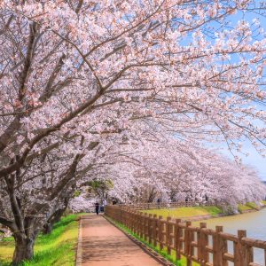 約1kmの遊歩道