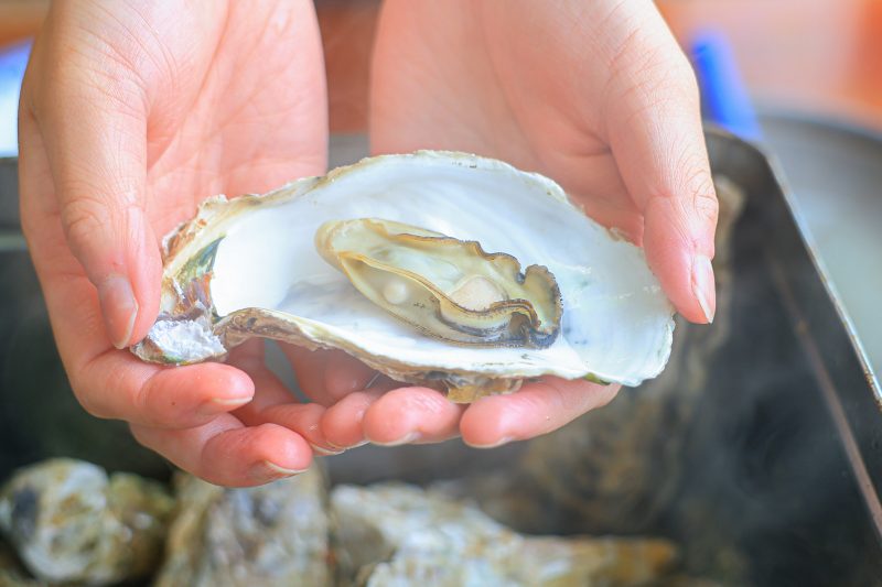 鳥羽浦村の牡蠣の写真「蒸し牡蠣を手で取る」