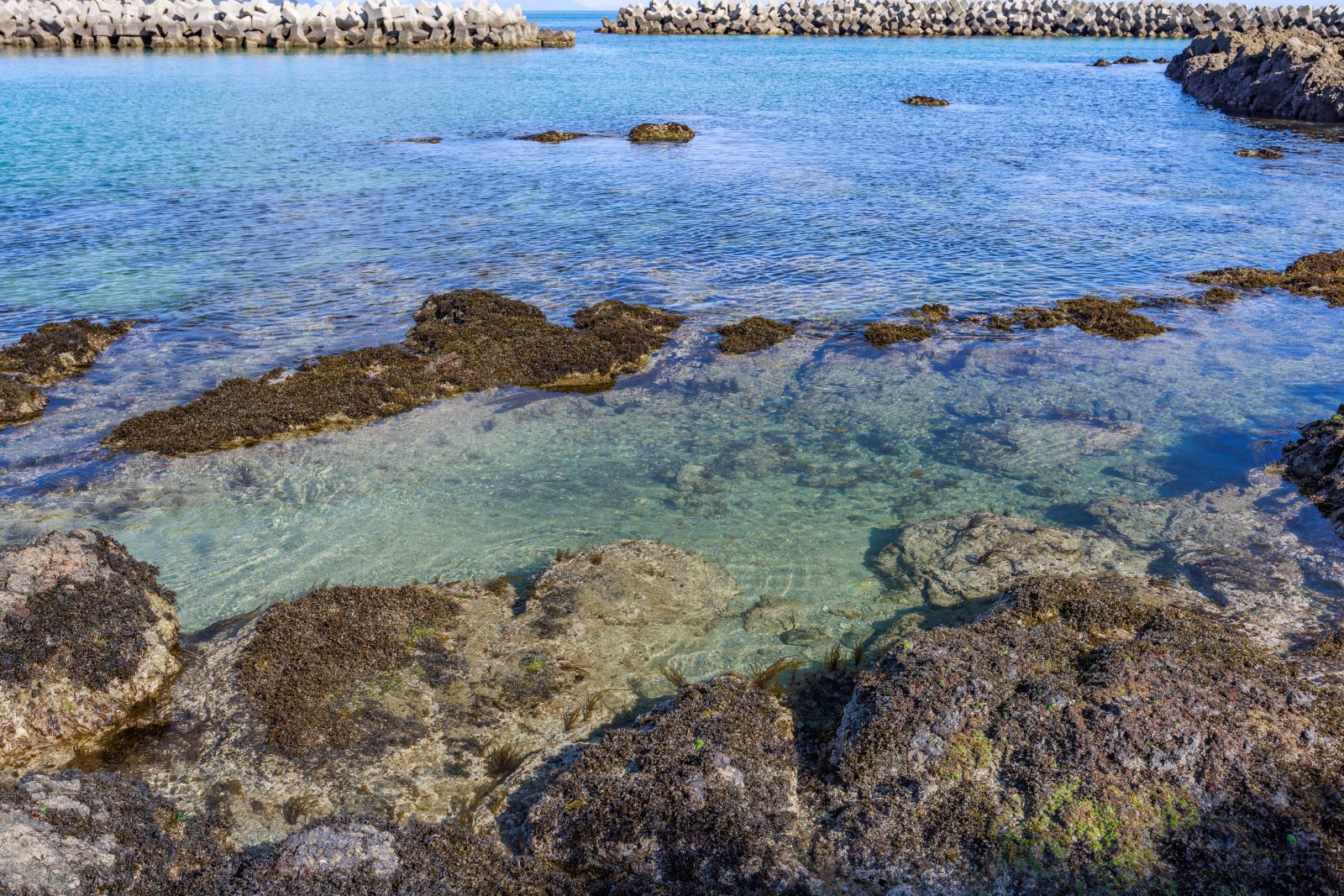 安楽島海水浴場の写真「砂浜の最奥にある岩場」