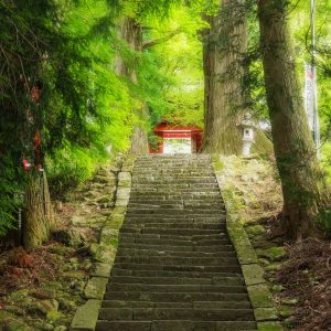 無料スマホ壁紙 参道の石段。AndroidとiPhoneに対応した4K高画質の無料待ち受け画像。三重県津市の真福院で撮影したフリー写真素材