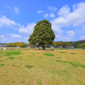 こかげ広場