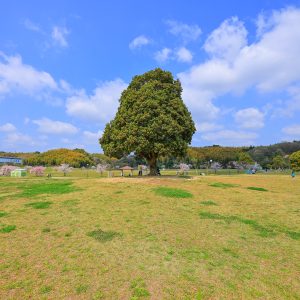 中勢グリーンパークの写真「こかげ広場」