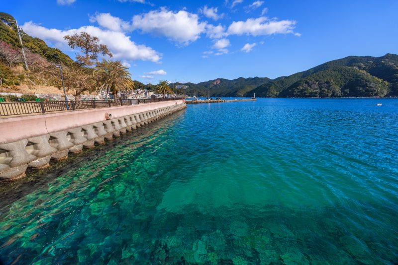 三木浦町の写真「三木浦マリンパークの駐車場から眺める透き通った海」