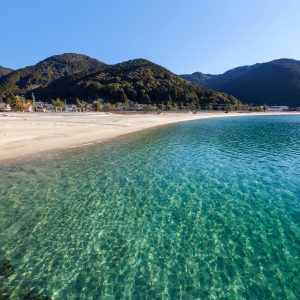 海底まで丸見えの透明度