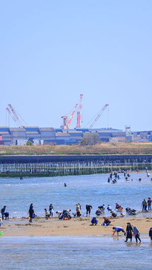 無料スマホ壁紙「潮干狩りを楽しむ様子」