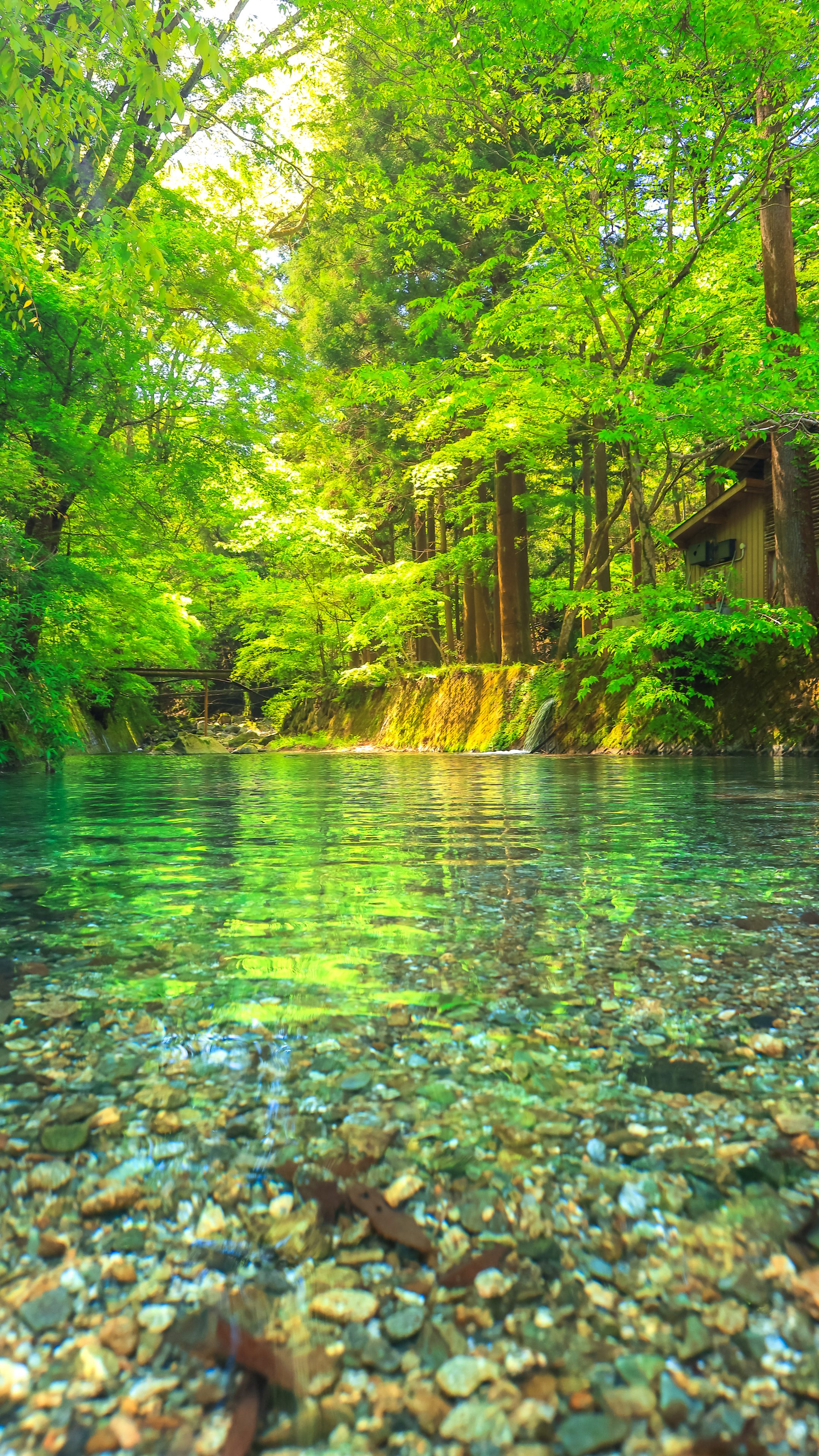 無料スマホ壁紙 坂本川と新緑。AndroidとiPhoneに対応した4K高画質の無料待ち受け画像。三重県津市の大吉あまごセンターで撮影したフリー写真素材