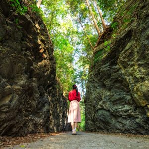 無料壁紙 切通しで立ち止まる女性。PCとデスクトップ壁紙に最適な4K高画質の無料壁紙。三重県松阪市の珍布峠で撮影したフリー写真素材