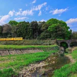 三岐鉄道北勢線の写真「めがね橋周辺を走るイエロー車両」