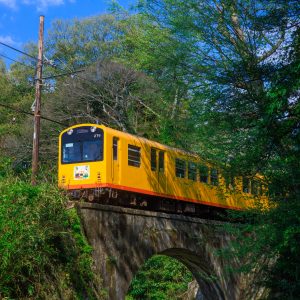 三岐鉄道北勢線の写真「ねじり橋を渡るイエロー車両」