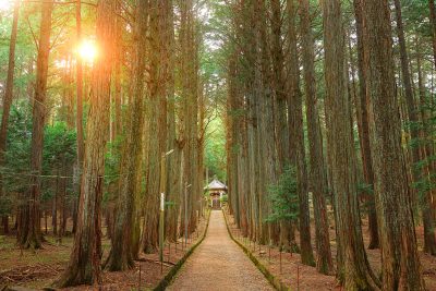 尾高観音の写真「尾高観音の参道」