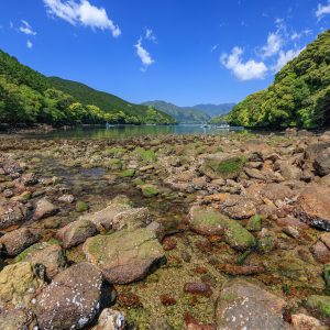 盛松の写真「太地（タージ）浜」