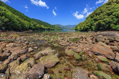 盛松の写真「太地（タージ）浜」