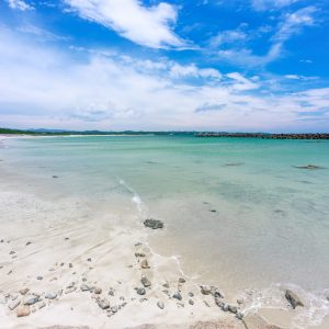 白浜から海水浴エリアを見渡す