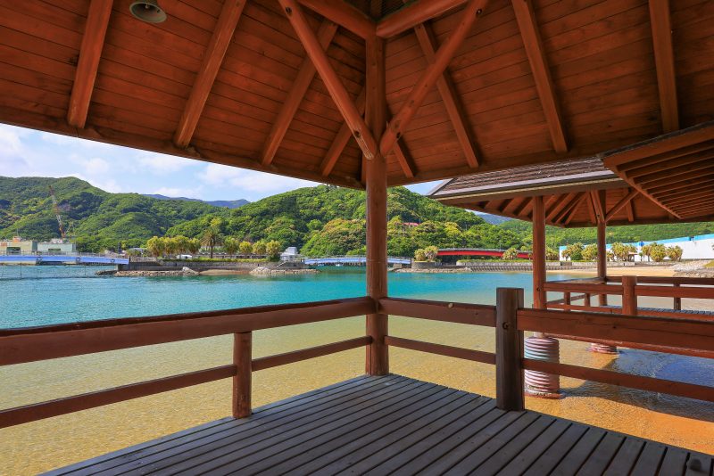 錦向井ヶ浜トロピカルガーデンの写真「休憩所の中からの眺め」