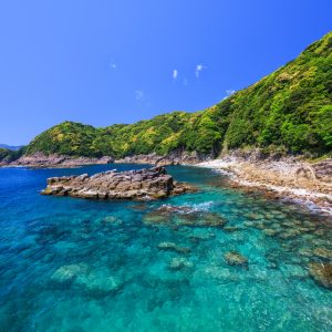 盛松の写真「盛松ブルーの海」