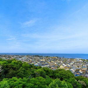 岸岡山緑地公園の写真「展望台からの眺め」