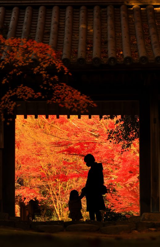円光寺の写真「山門と紅葉と親子」