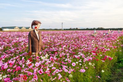 笠松町のコスモス畑の写真「地元小学生による手作りのカカシ」
