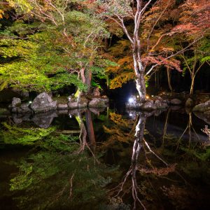 逆さ紅葉