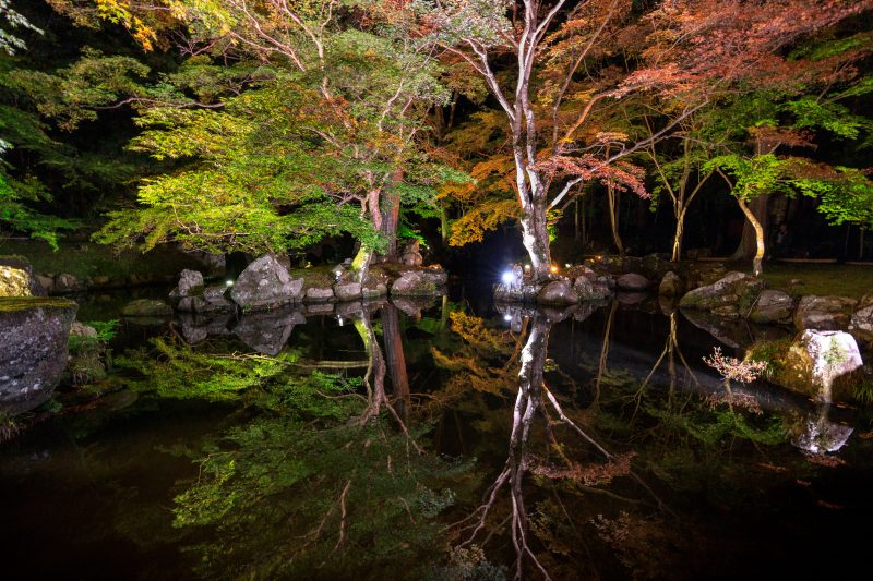 北畠神社の写真「逆さ紅葉」