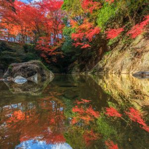 河内渓谷の写真「紅葉が映る清流」