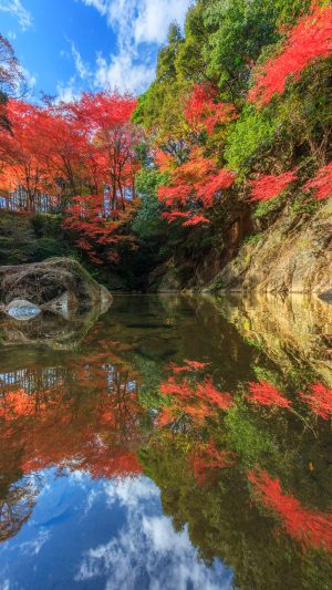 無料スマホ壁紙「紅葉が映る清流」