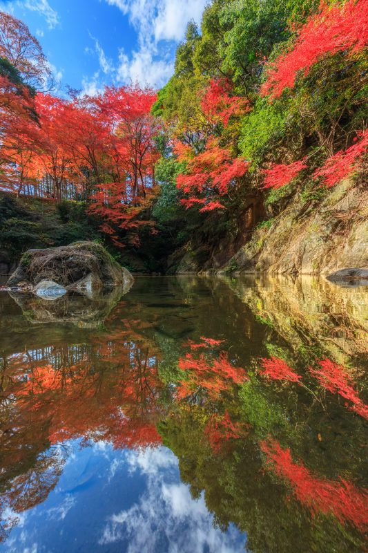 河内渓谷の写真「紅葉が映る清流」