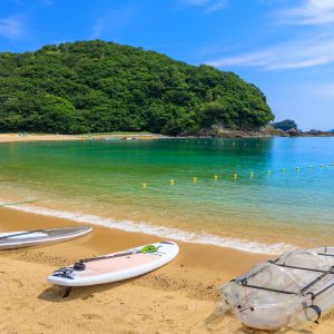 海水浴で賑わうビーチ