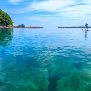 透明度抜群の海でSUP