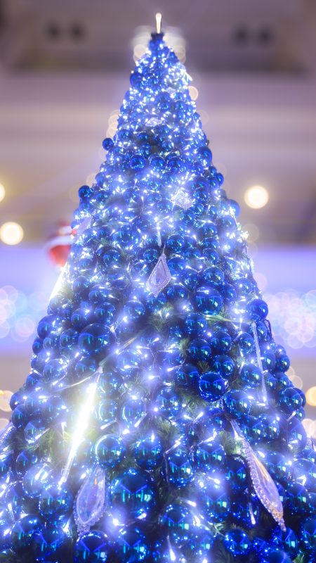 無料スマホ壁紙「青色に輝くクリスマスツリー」