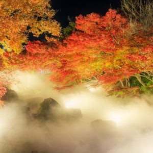 霧に包まれるせせらぎと紅葉