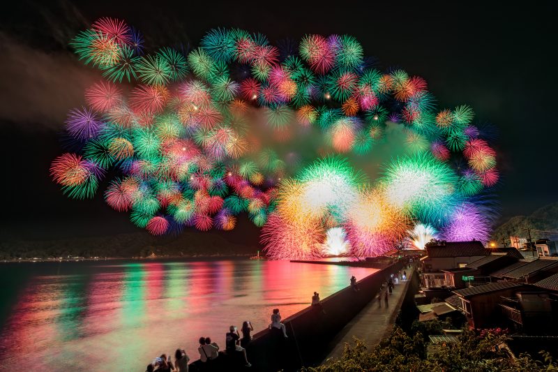 きほく燈籠祭の写真「2023年度の彩色千輪菊」