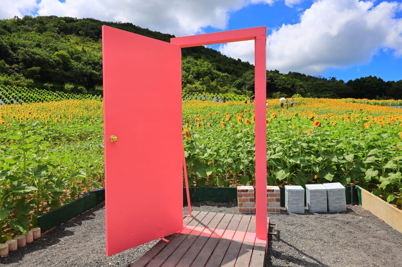 志摩市観光農園の写真「夏雲とどこでもドア」