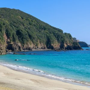 高台の堤防から海岸を見下ろした光景