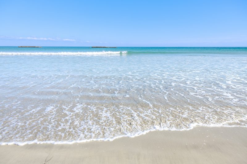 国府白浜の写真「波打ち際は浅瀬です」